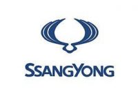 ssangyong codes diagnostic category trouble